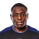 伊布拉希莫维奇