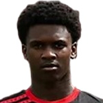 杰罗尔迪诺·阿尔曼特拉丁