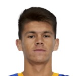 豪尔赫·多明格斯